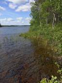 Puronkovero, määräala 305-423-40-11 1