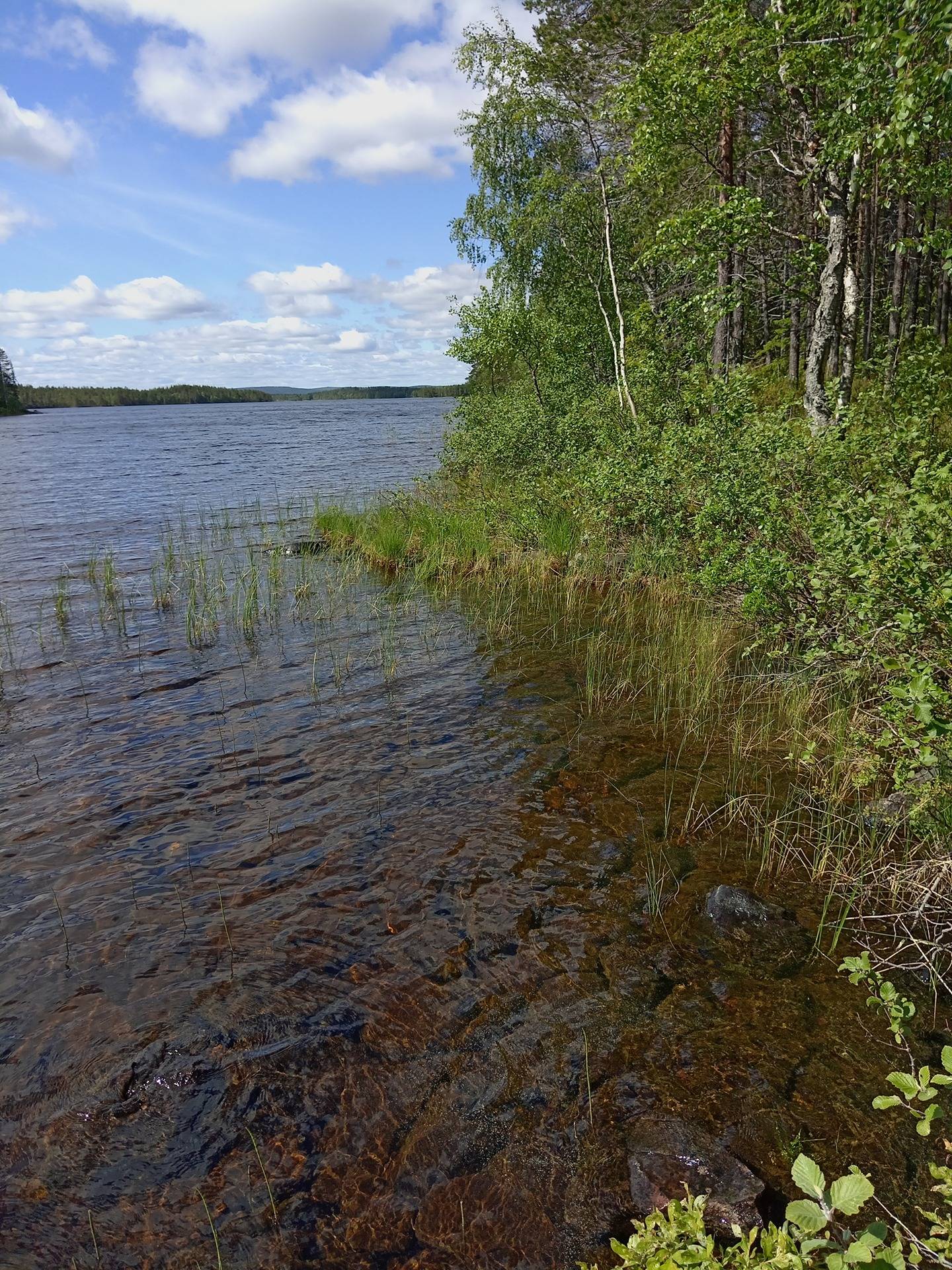 Puronkovero, määräala 305-423-40-11 1