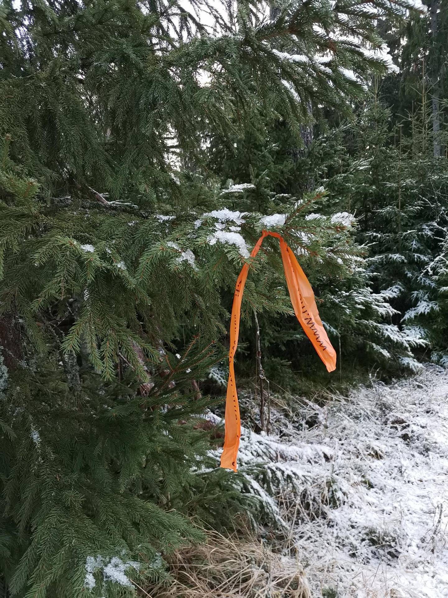 Maatilakokonaisuus, 14,22 ha: Salvi (2,34 ha); 631-402-11-3, Lehtimäki (11,386 ha); 631-402-11-1 ja Etelärinne (0,4945 ha); 631-402-2-39, Pyhäranta, Ihode 1