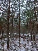 Ilmajoki Harju 145-421-2-90 1