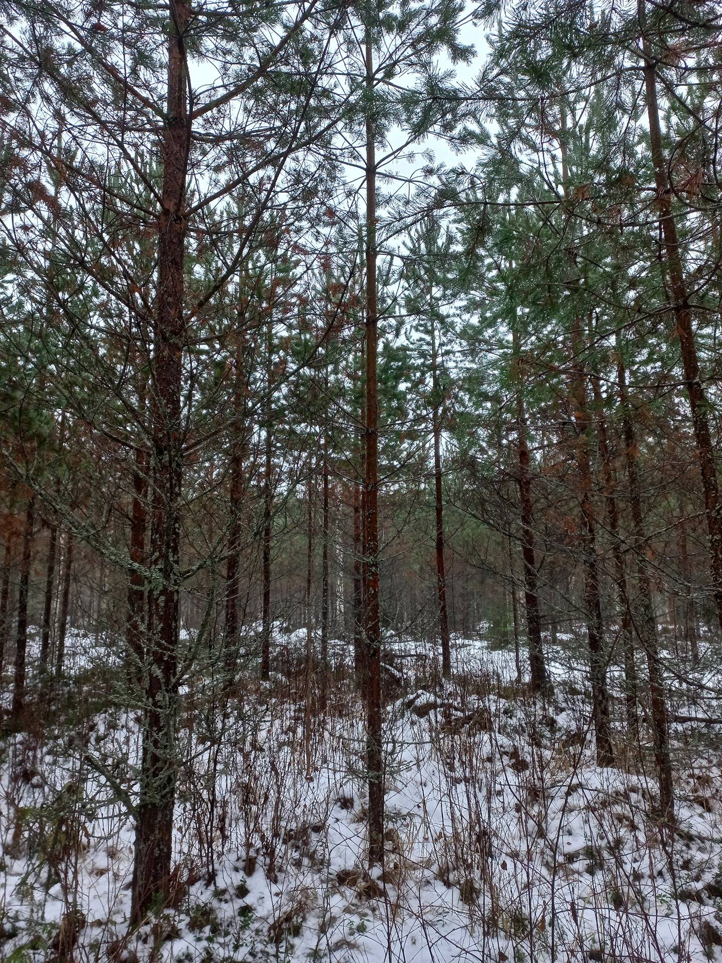 Ilmajoki Harju 145-421-2-90 1