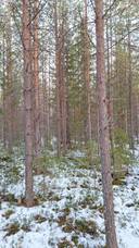 Kaivosniitty 698-408-64-14 1