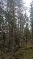 Kumpu 698-408-19-11 1