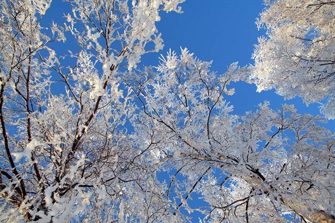 Kilskiftet 3:53, Solf 1