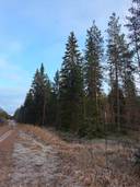 MIKKOLA 151-403-5-67 1