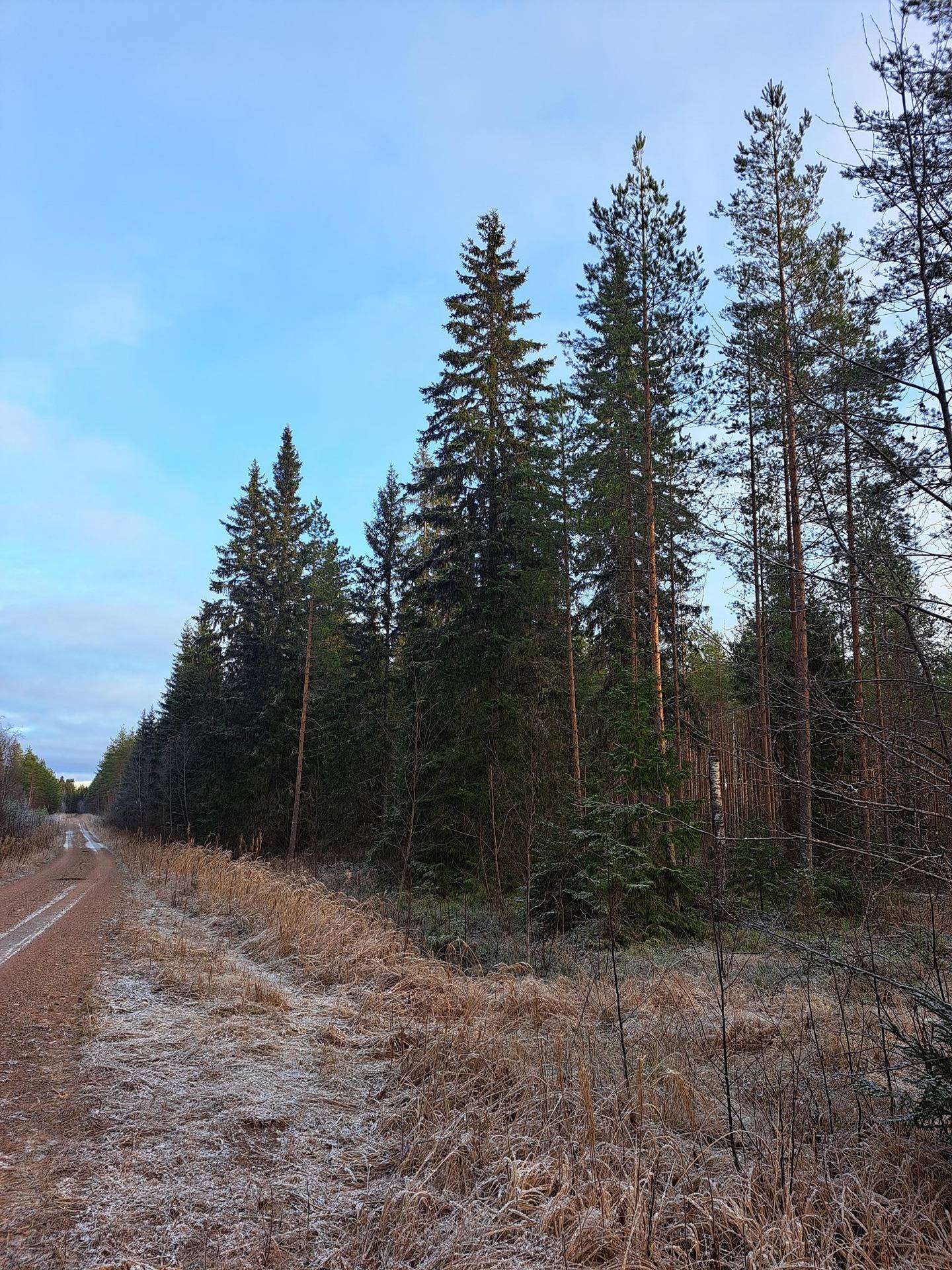 MIKKOLA 151-403-5-67 1