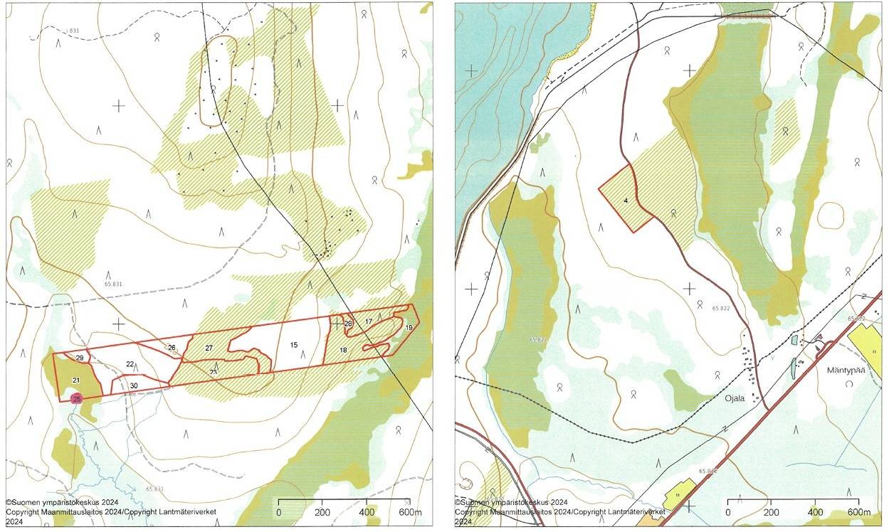 Metsäkumpu II 758-408-37-32 1