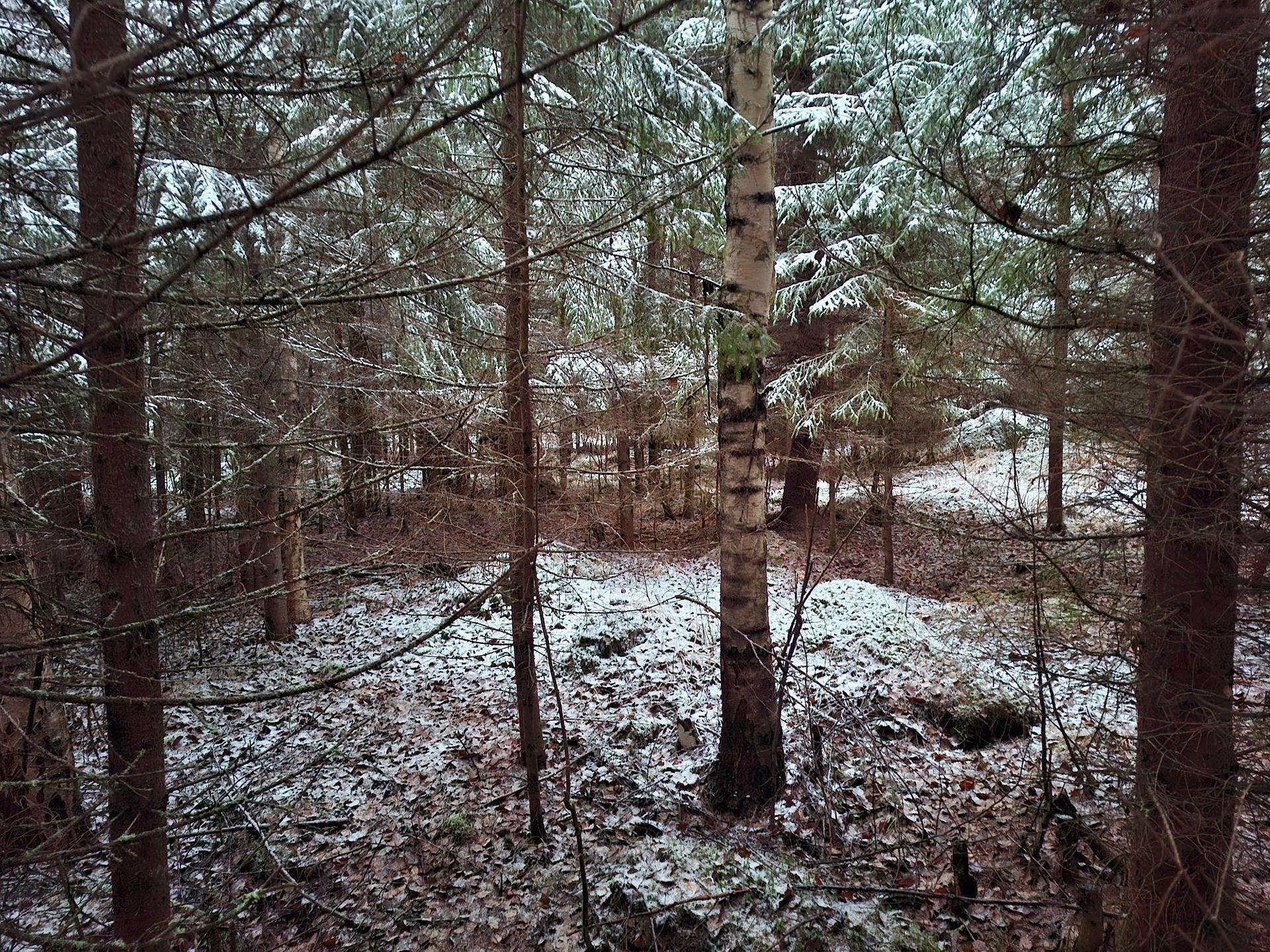 ETUJATA 426-404-17-51, Leppälahti 1