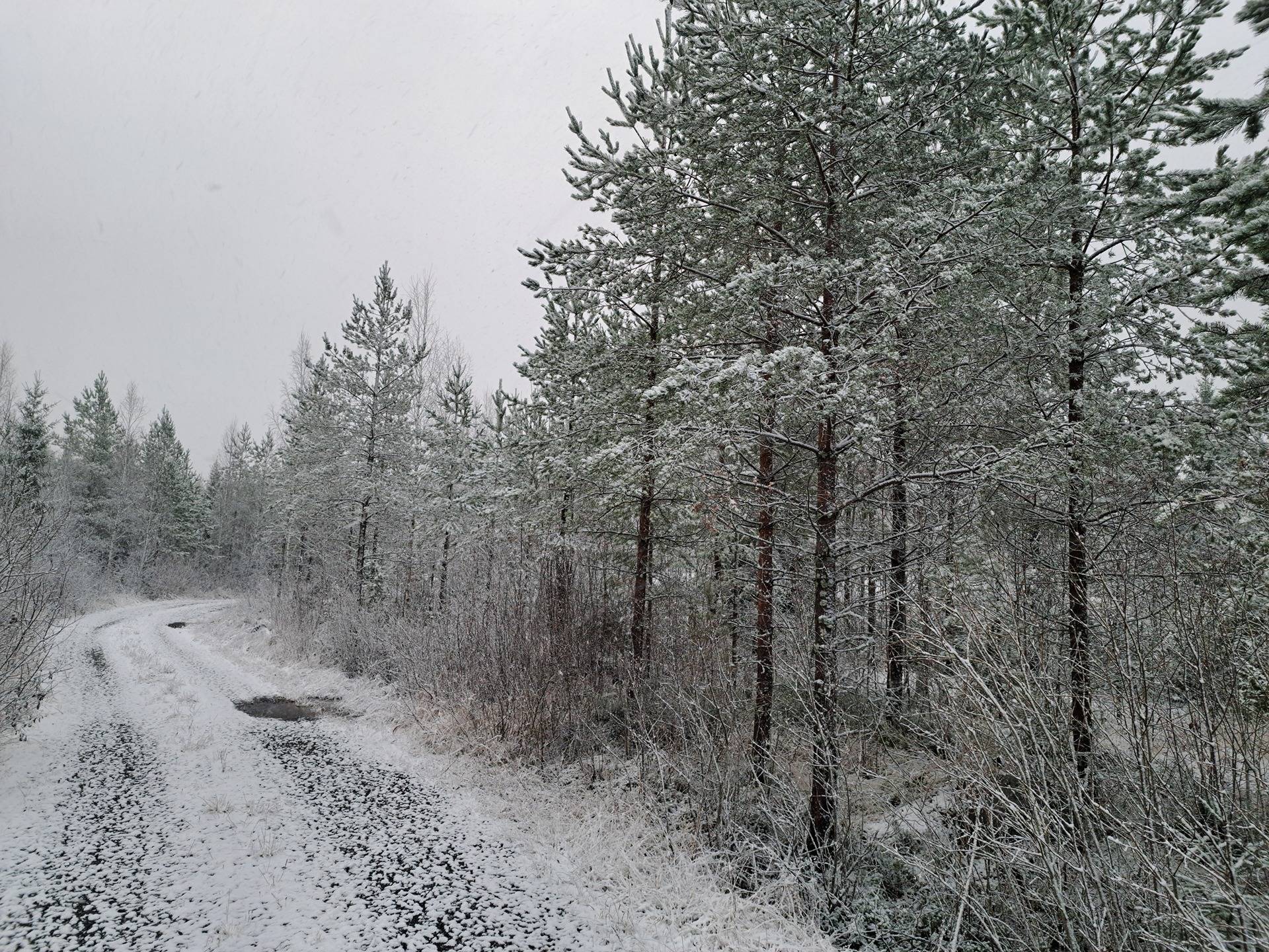 Itämehtä 9-401-14-130 1