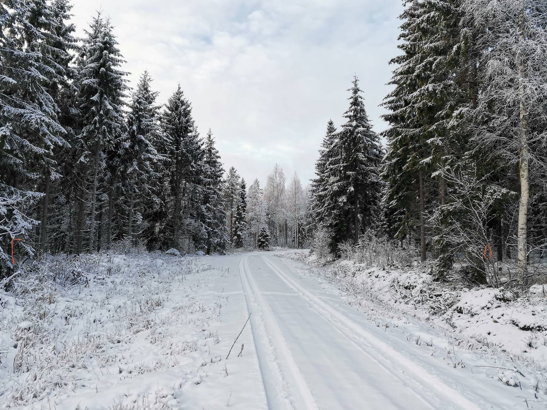 KETOLA 541-413-35-0, Kuohatti 1