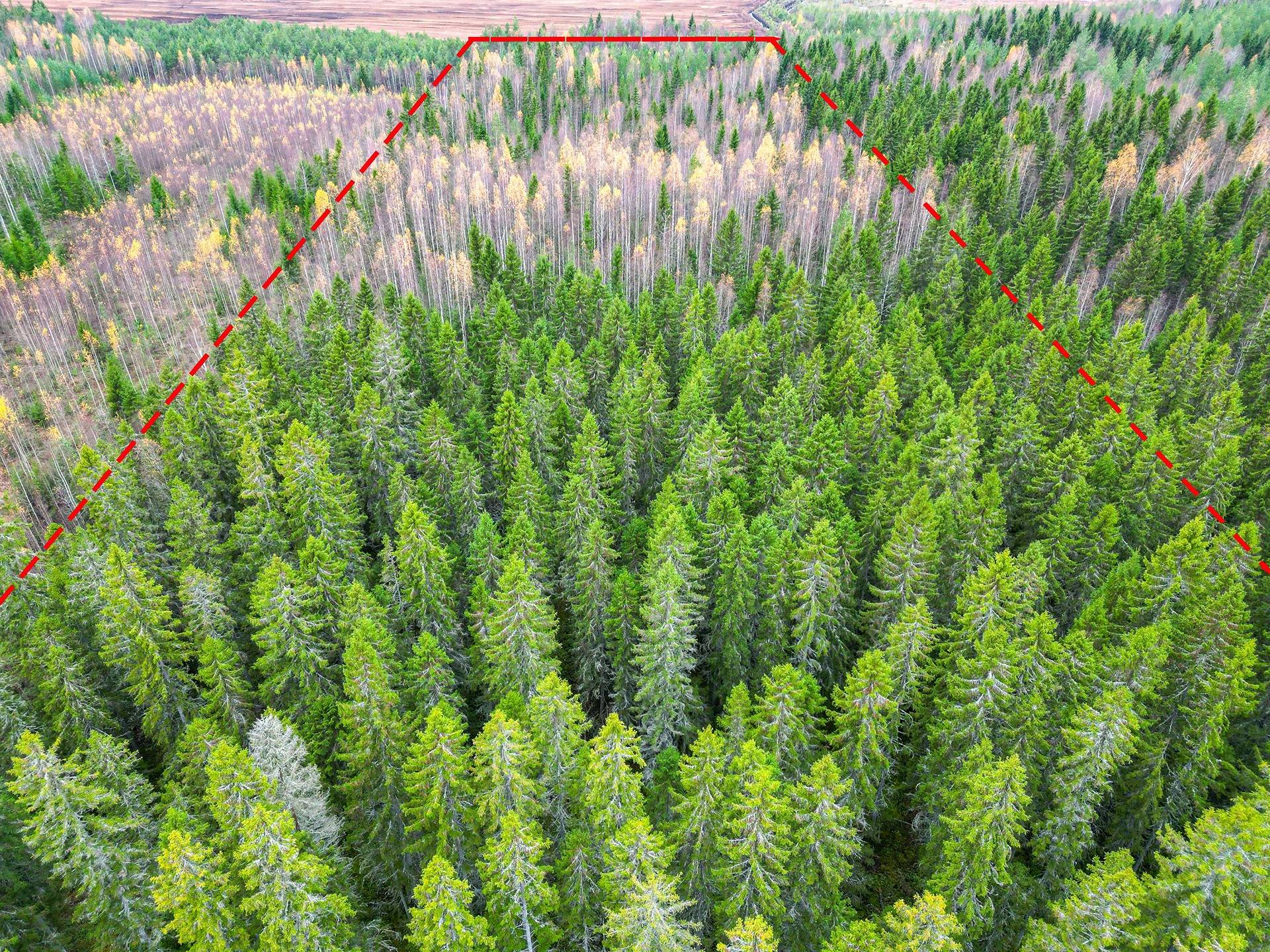 Lapua, Hangasneva, Mäkivirta 408-404-13-152 (määräala) 1