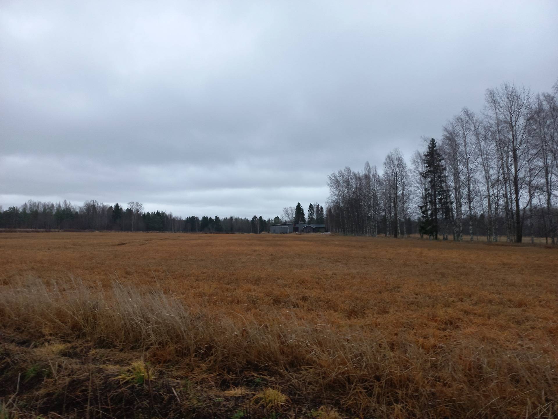 Kurikka Hakola 301-404-73-1 (määräala) ja Pitkäranta 301-402-6-46 (määräala) 1