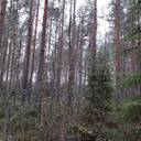 Jalasjärvi Venesmäki 164-404-9-55 1