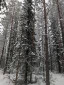 AHVENISENJOKI 777-410-8-29 1