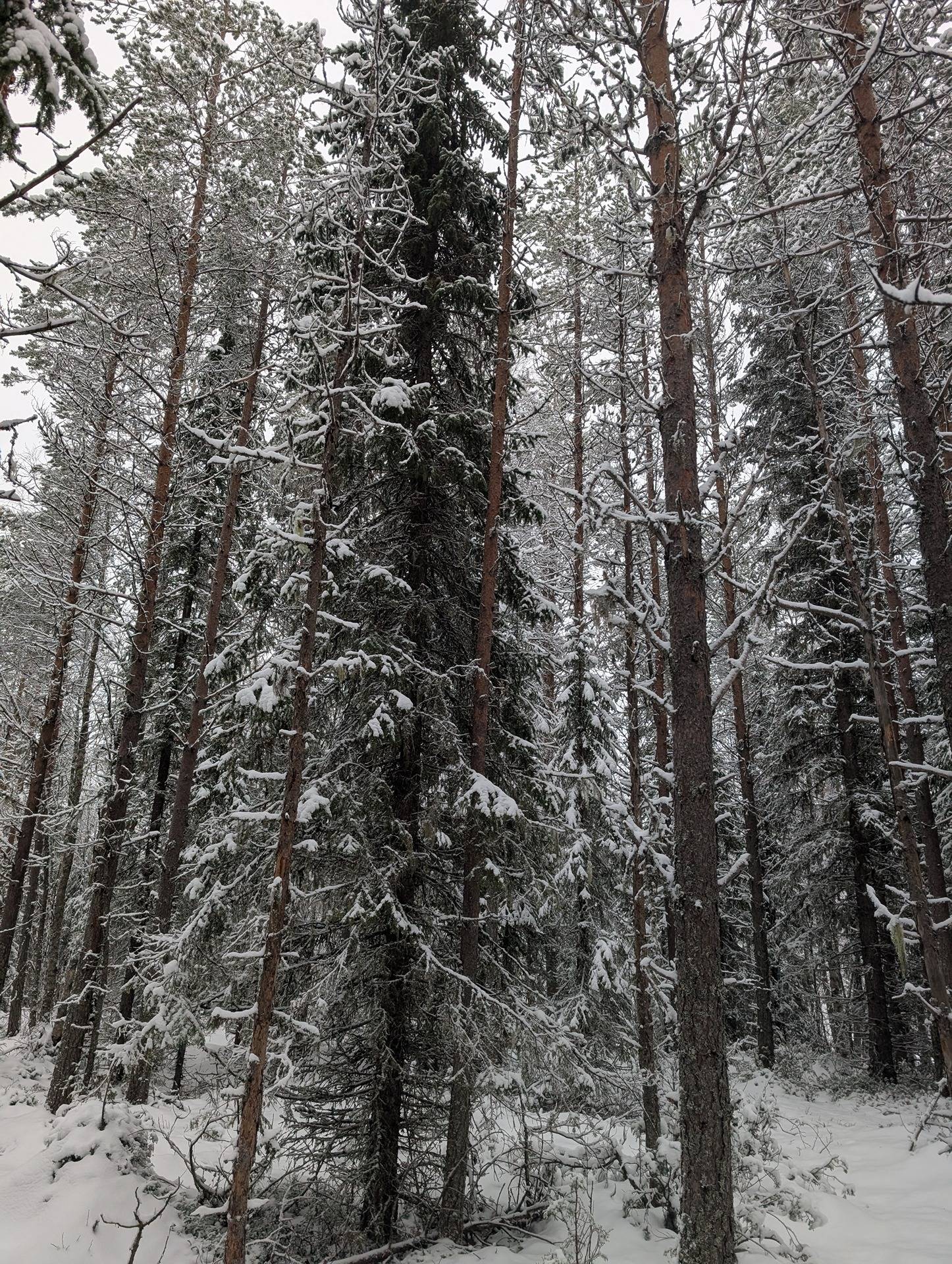 Cover photo for the object AHVENISENJOKI 777-410-8-29