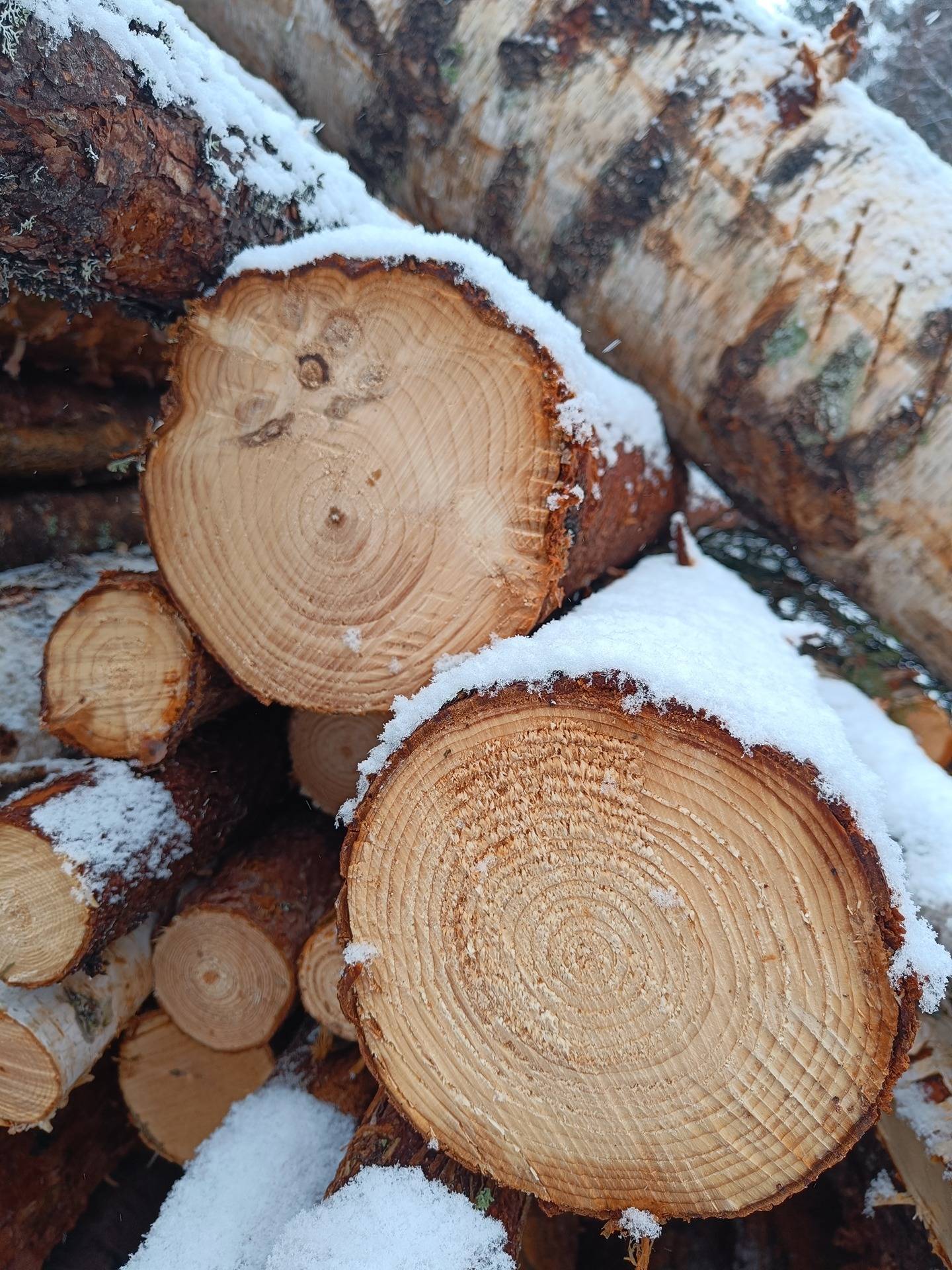 del av/osa Näsibacken 20:6, Vitsar/Vitsari 1