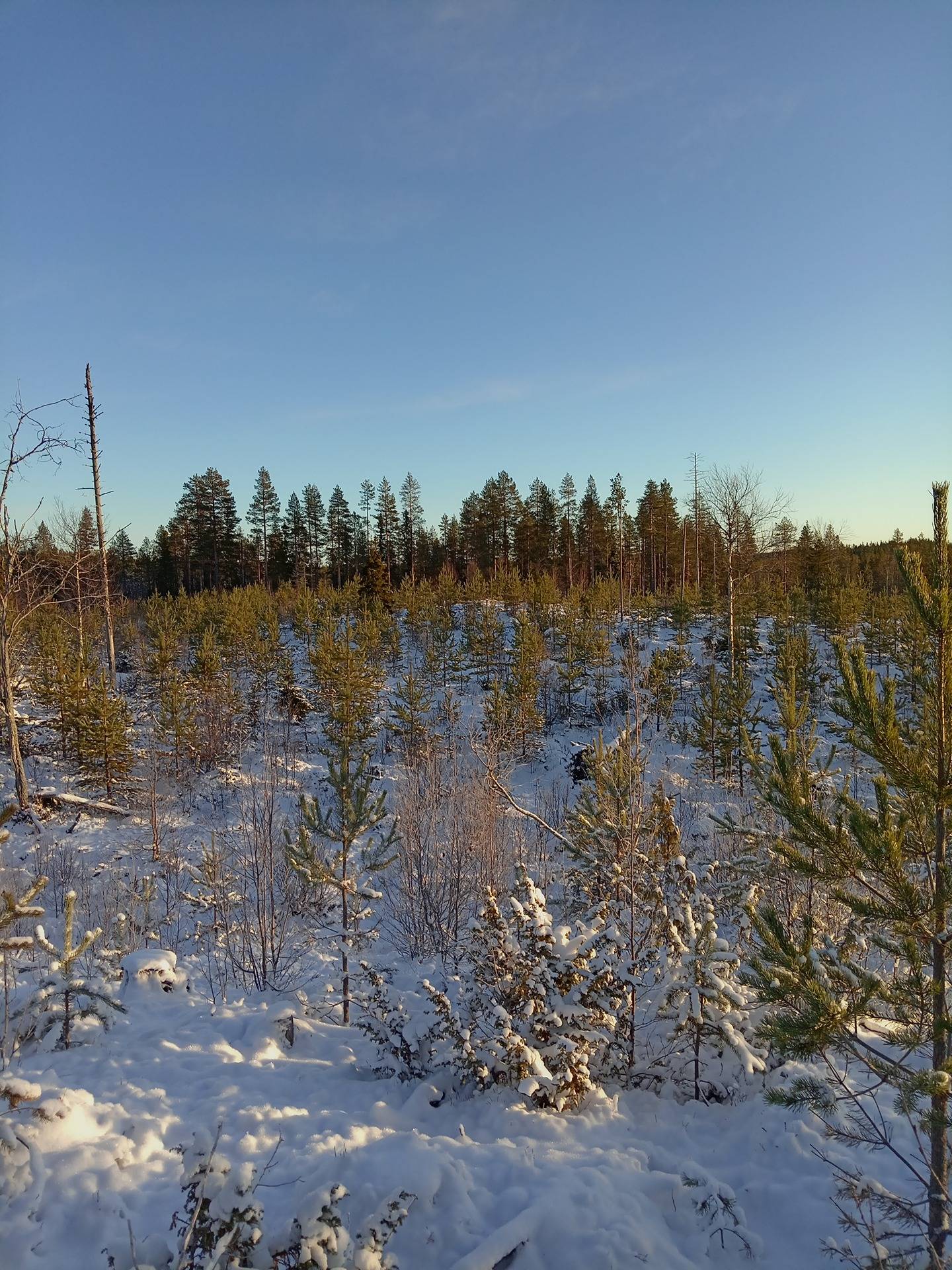 Hoikansuo 305-412-15-12 1