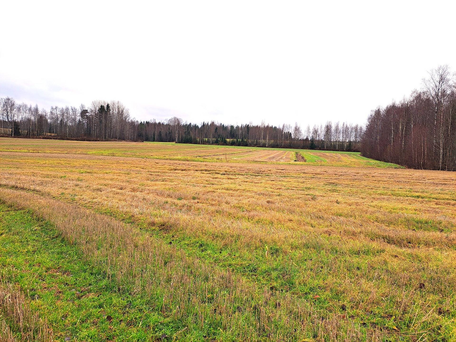 Evijärvi Lahdenkangas maatilapaikka noin 11,40 ha 1