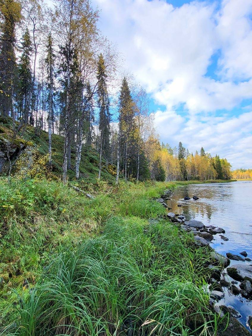 Metsäpirtti 305-423-23-17 1