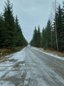 Hiekkaharju 420-426-6-15 1