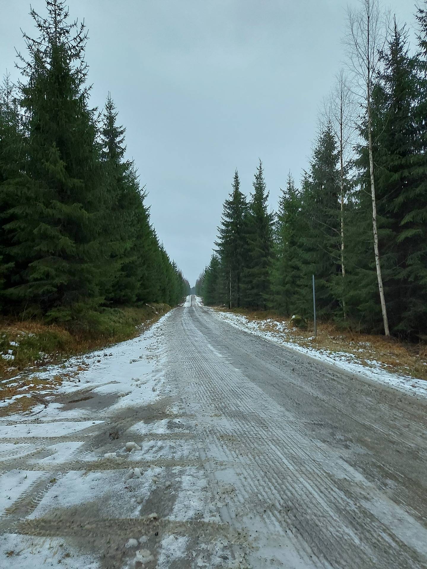 Hiekkaharju 420-426-6-15 1