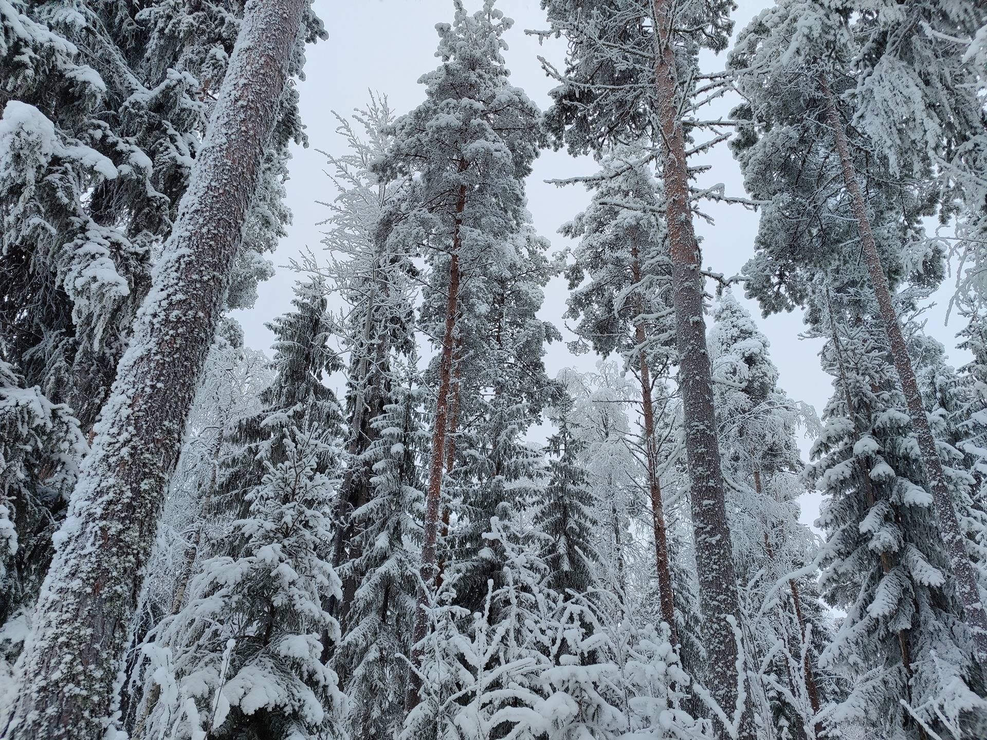 977-405-34-0 LATULA, KIVIAHO 977-405-11-102, Määräala 1