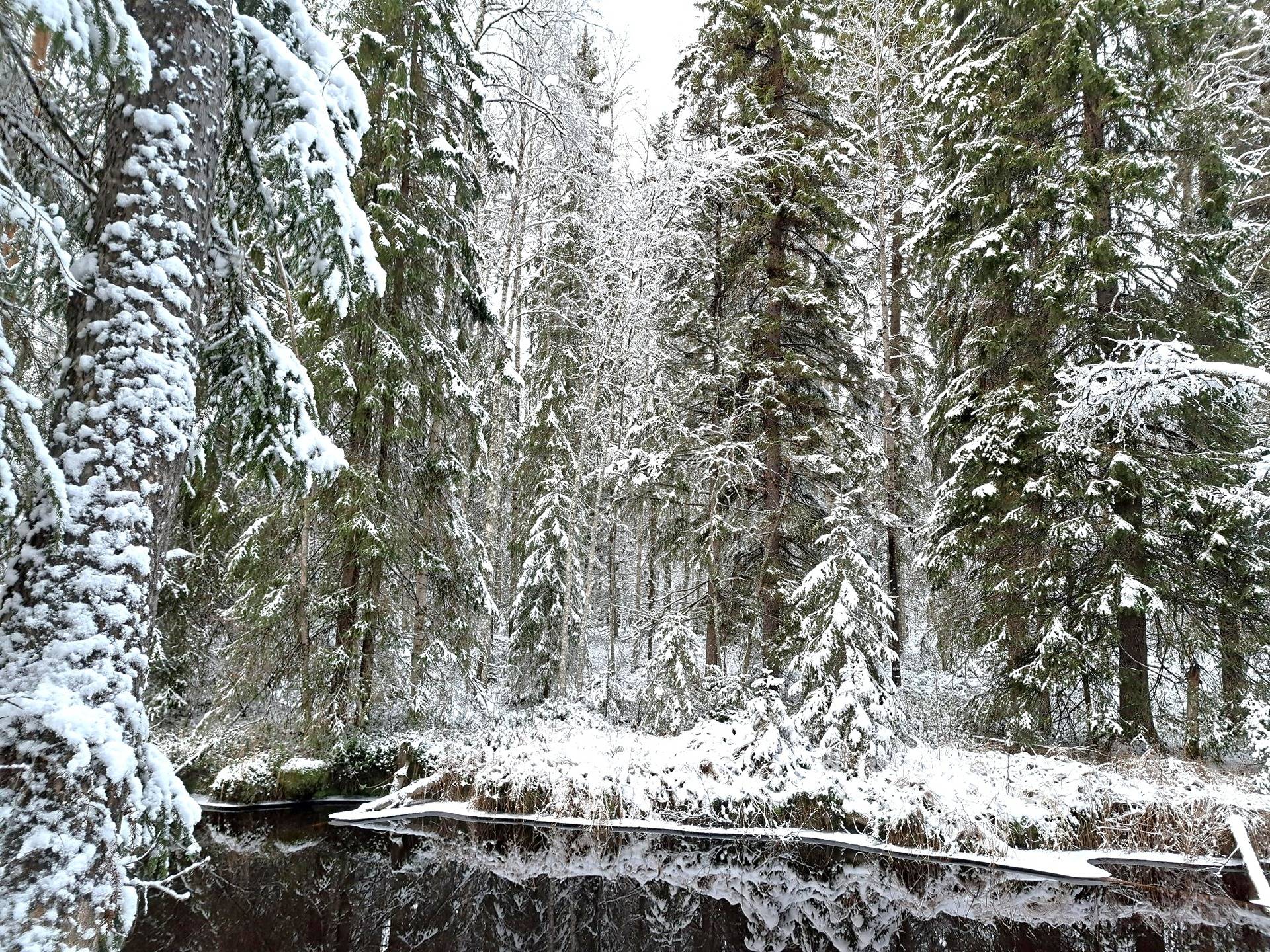 Tuhkaniemi 791-435-1-1 1