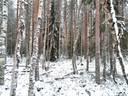 Tuhkaniemi 791-435-1-1 1