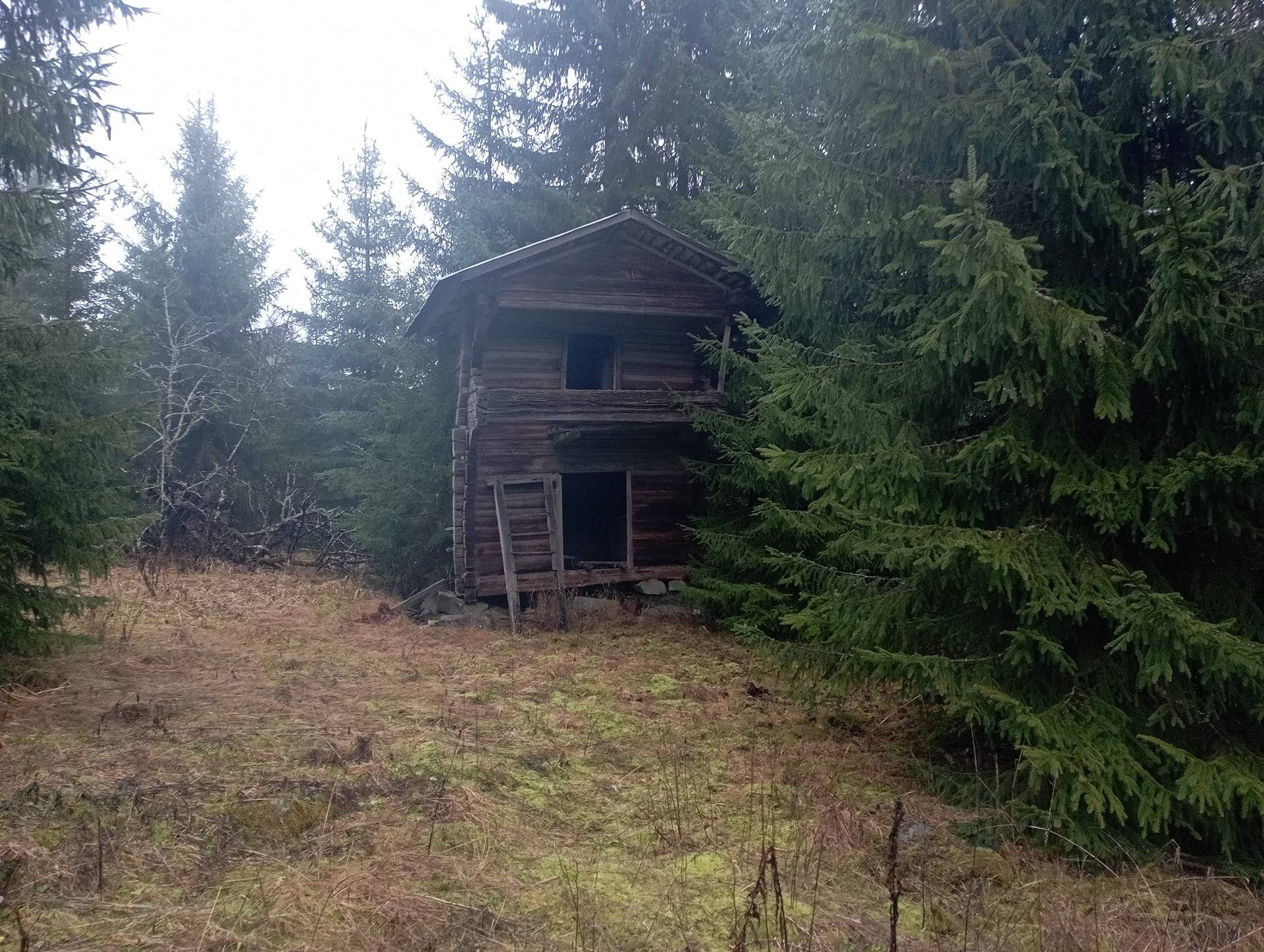 Lamminpohja 781-410-5-18 1