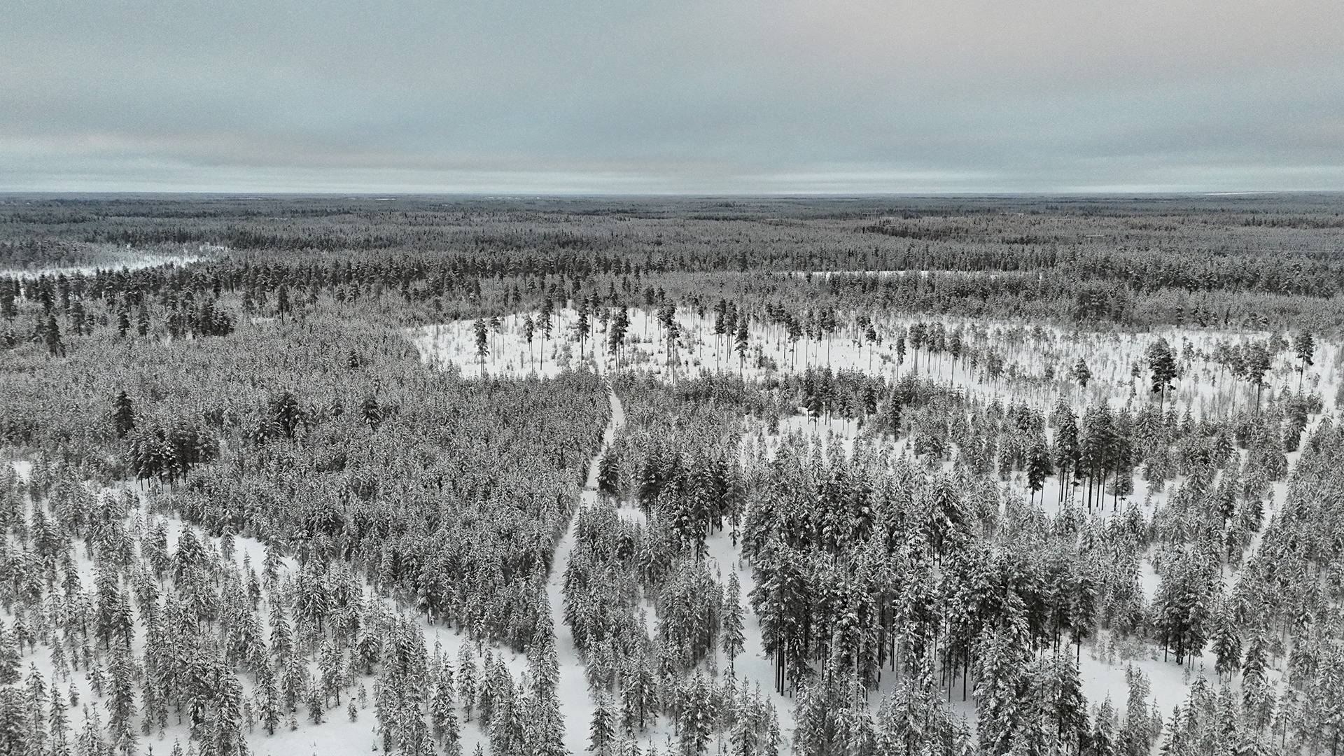 KIVISUO 889-401-15-25 metsäkiinteistö 11,45 hehtaaria 1