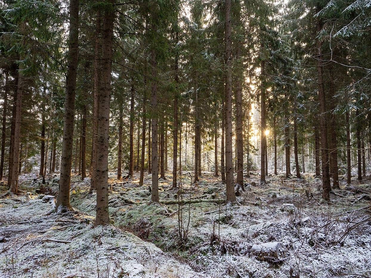 Tuijala 491-508-18-26 1