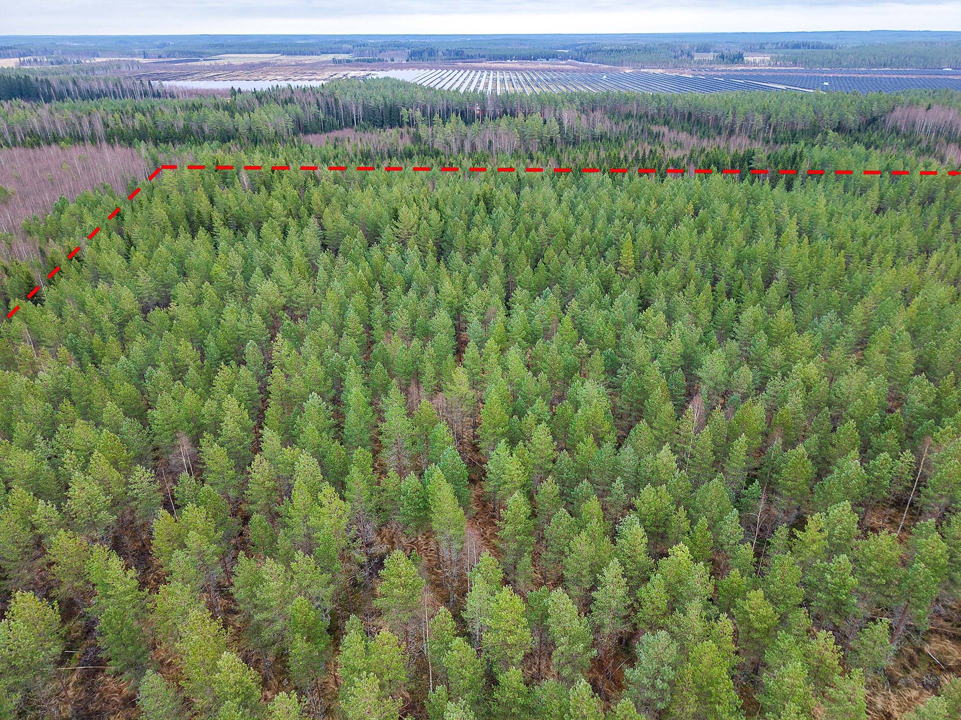 Lapua, Sikkomaa, Lassila 408-405-18-13 (määräala) 1