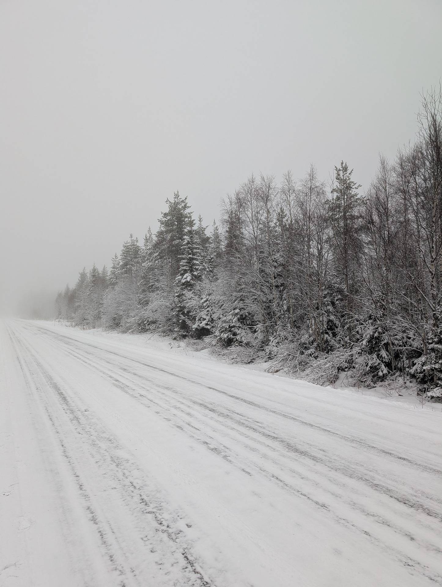 Cover photo for the object Jyrkkälampi 777-410-1-32