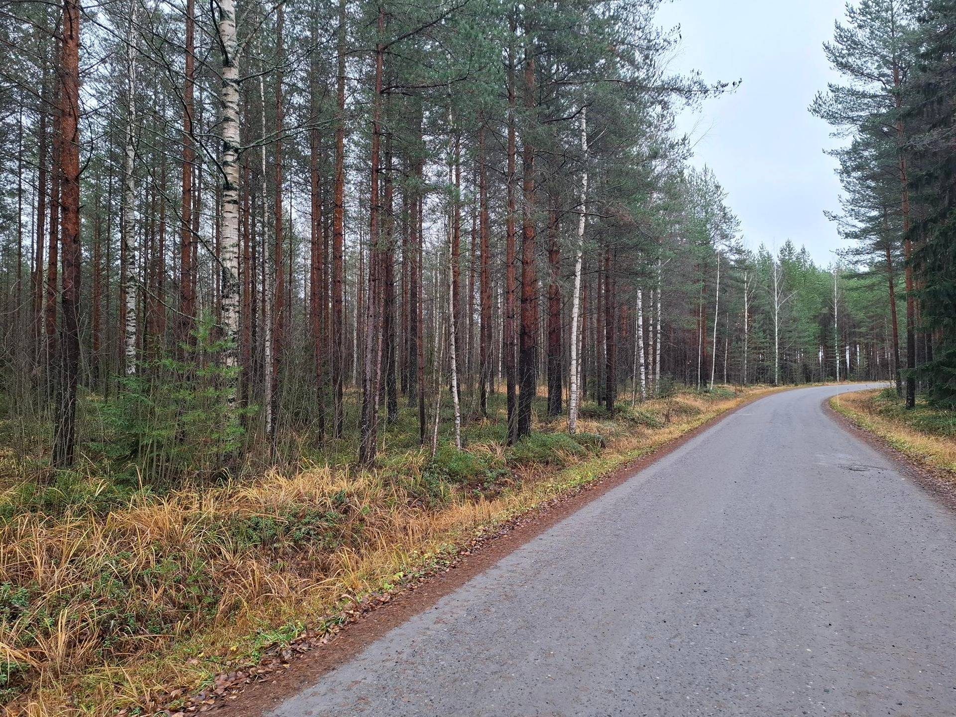 KANKAALA 426-409-12-42 määräala, Roukalahti 1