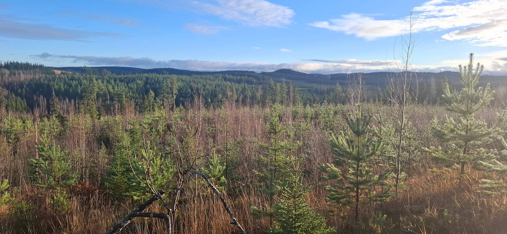 422-415-7 3-21 HEIKKILÄ ja 422-415-73-23 MÄNTYHARJU, Märäjälahti 1