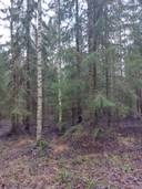 Järvelä 171-407-4-26 1