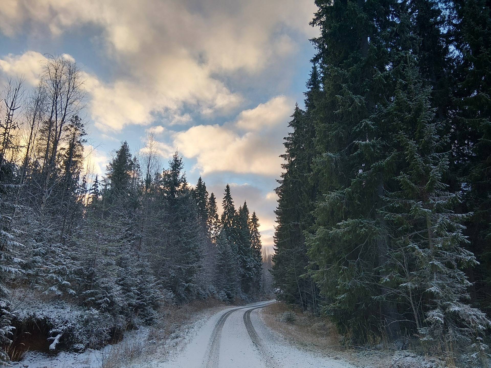 Puttous 263-402-8-5 ja Lamminniitty 263-402-13-37 1