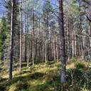 Tienpää 305-405-59-0 1