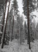 Tyränpuro 290-411-5-4 1