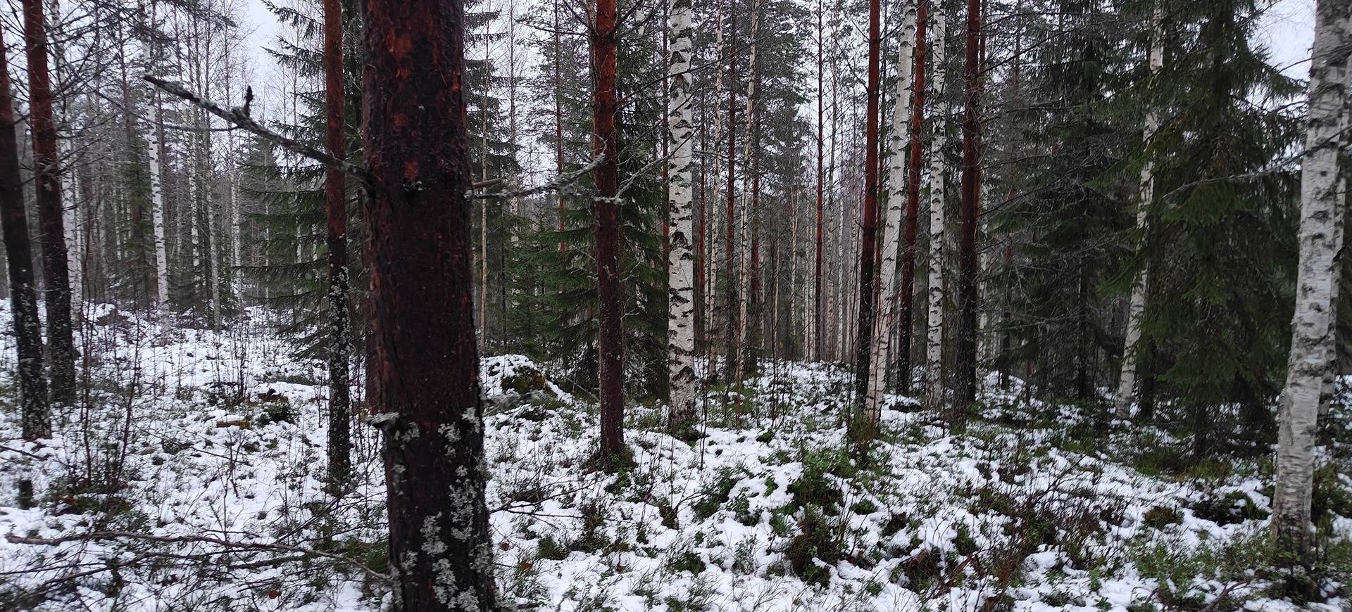 Alajärvi, KIVIKALLIO 5-414-5-82 1