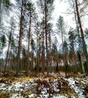 Rasila 239-405-8-44 1