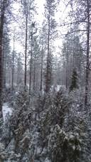 Juppo 698-410-12-1 1