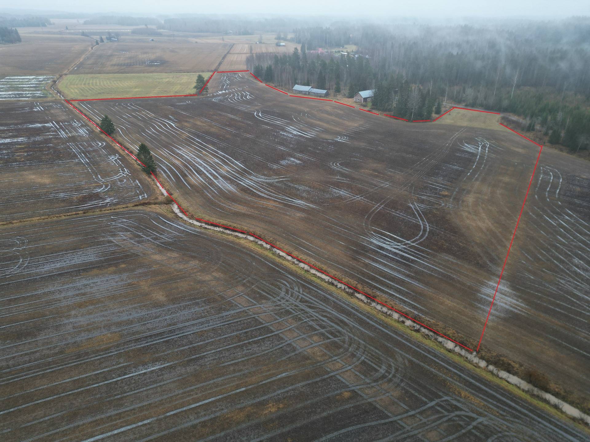 Peltomääräala tilasta Vesaniemi 1:78, noin 5,8 ha, Somero, Ollila 1