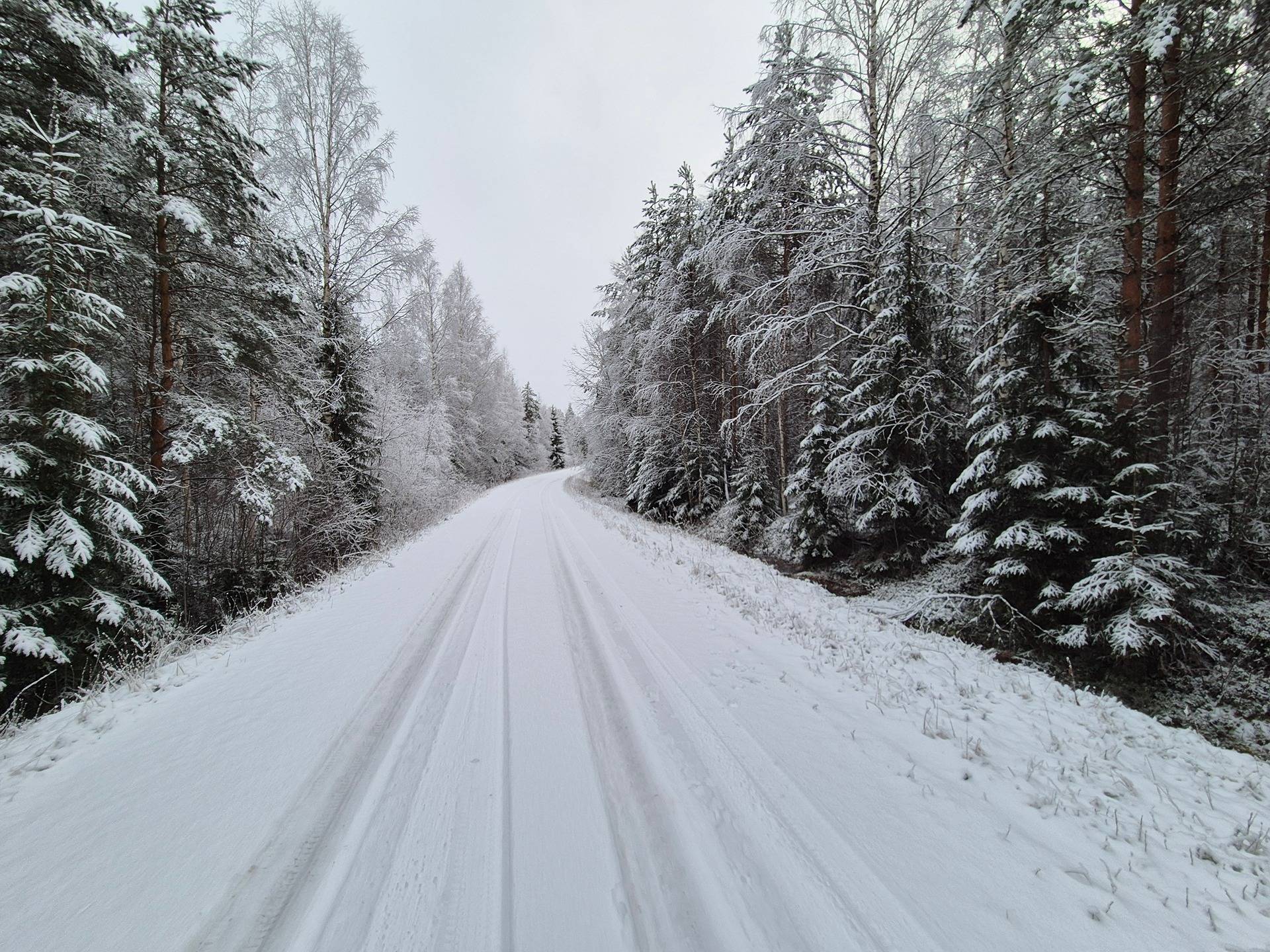 Omslagsbild för objektet Määräala Vaahtoniemi 17:203 (Hirvijoki)