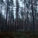 Jurva Pensas 301-423-9-3 1