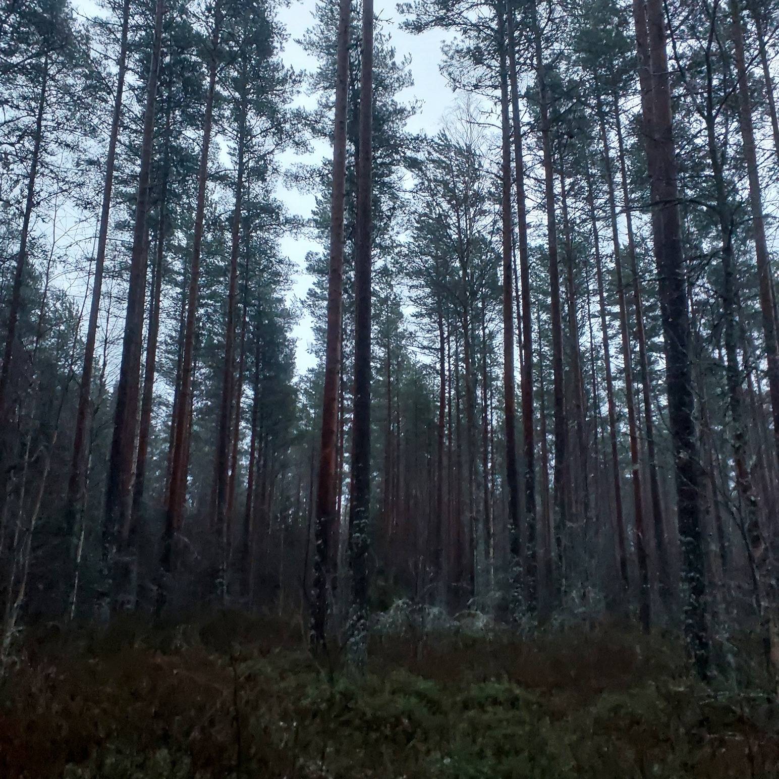 Jurva Pensas 301-423-9-3 1