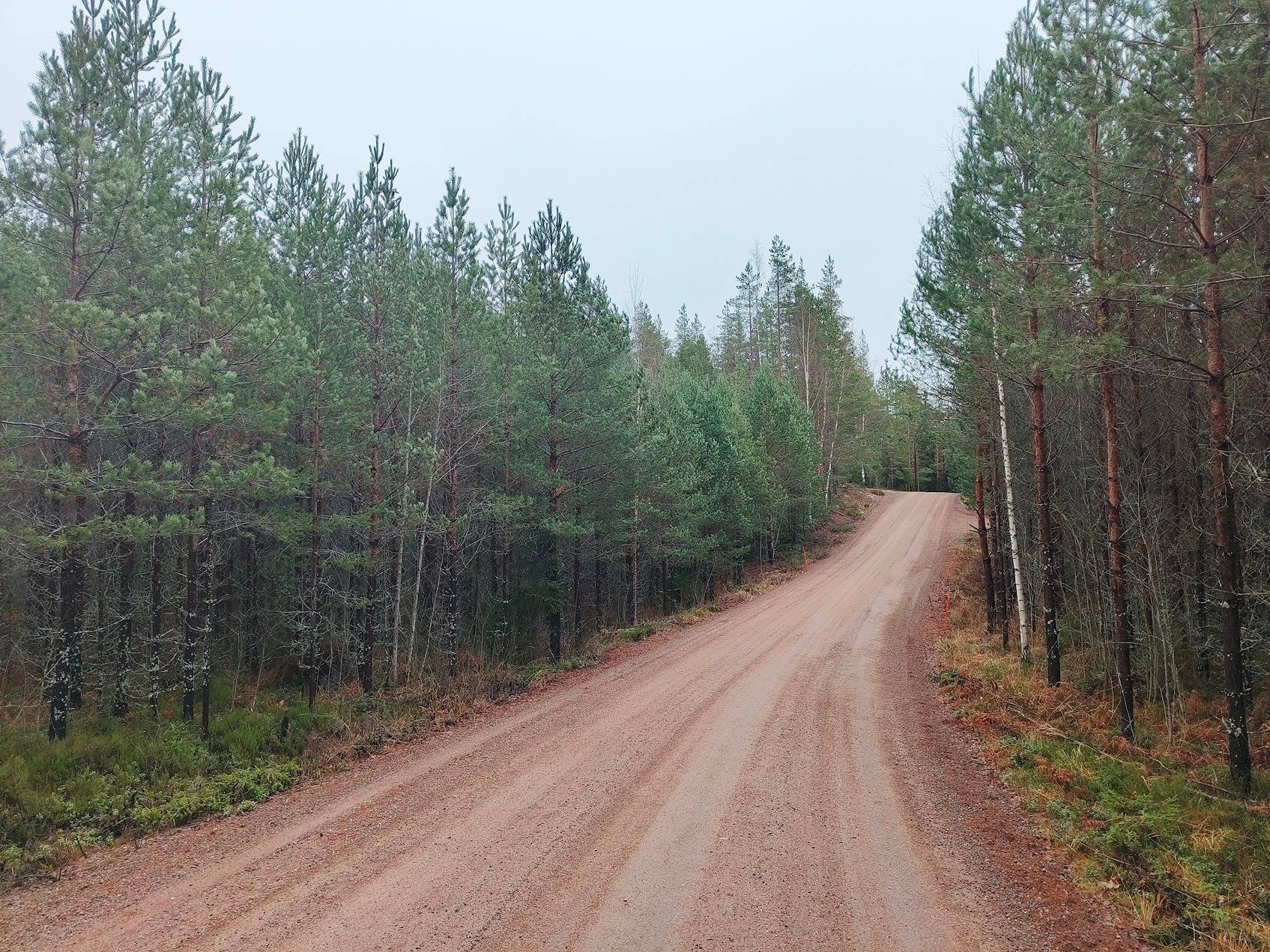 Jaakkola 441-452-1-105 1