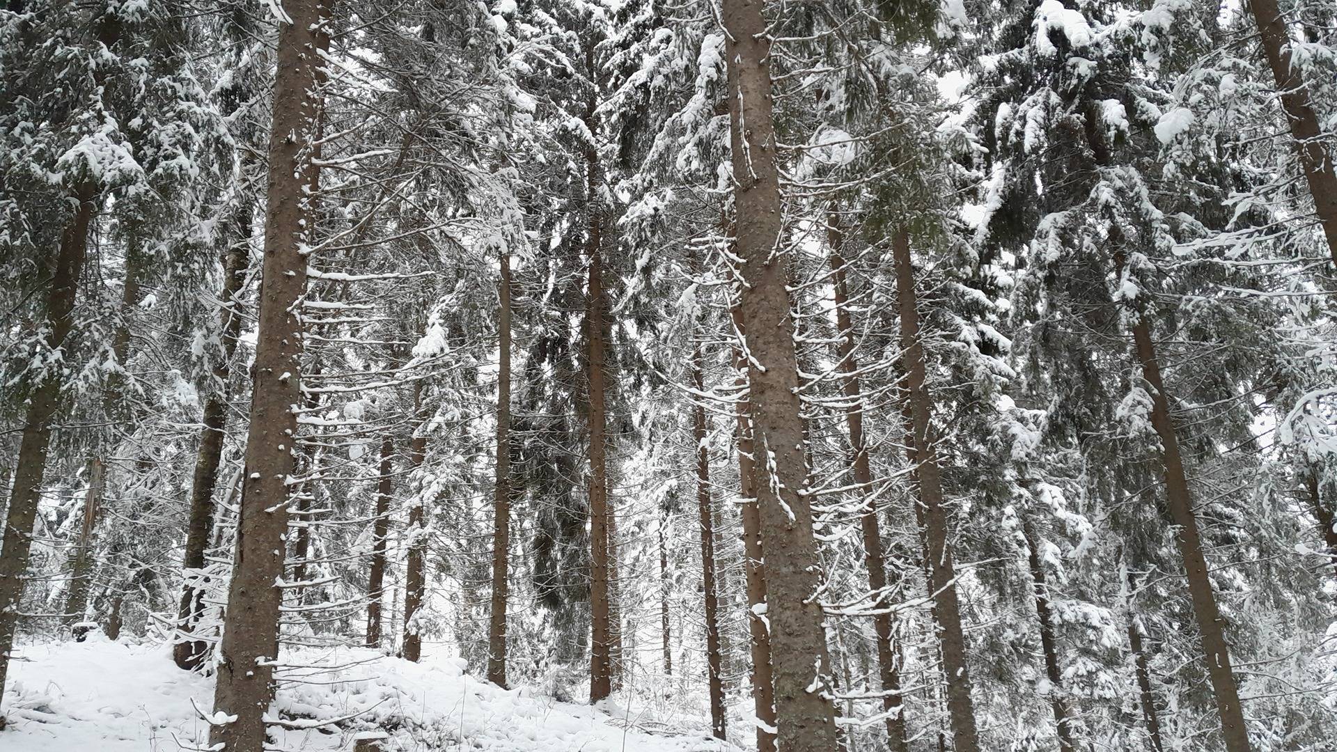 MÄKELÄ 260-423-7-37 Päätye 1