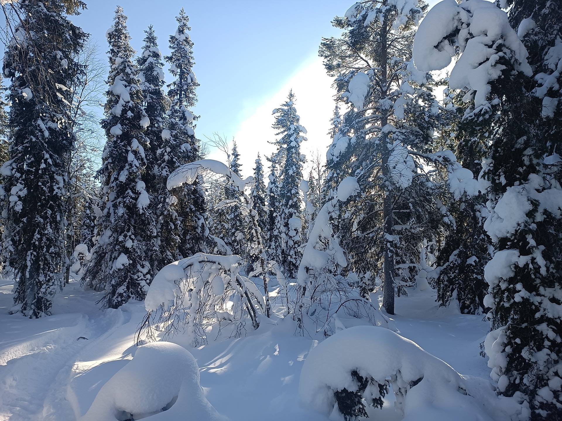 Veikanen 261-409-50-11 1