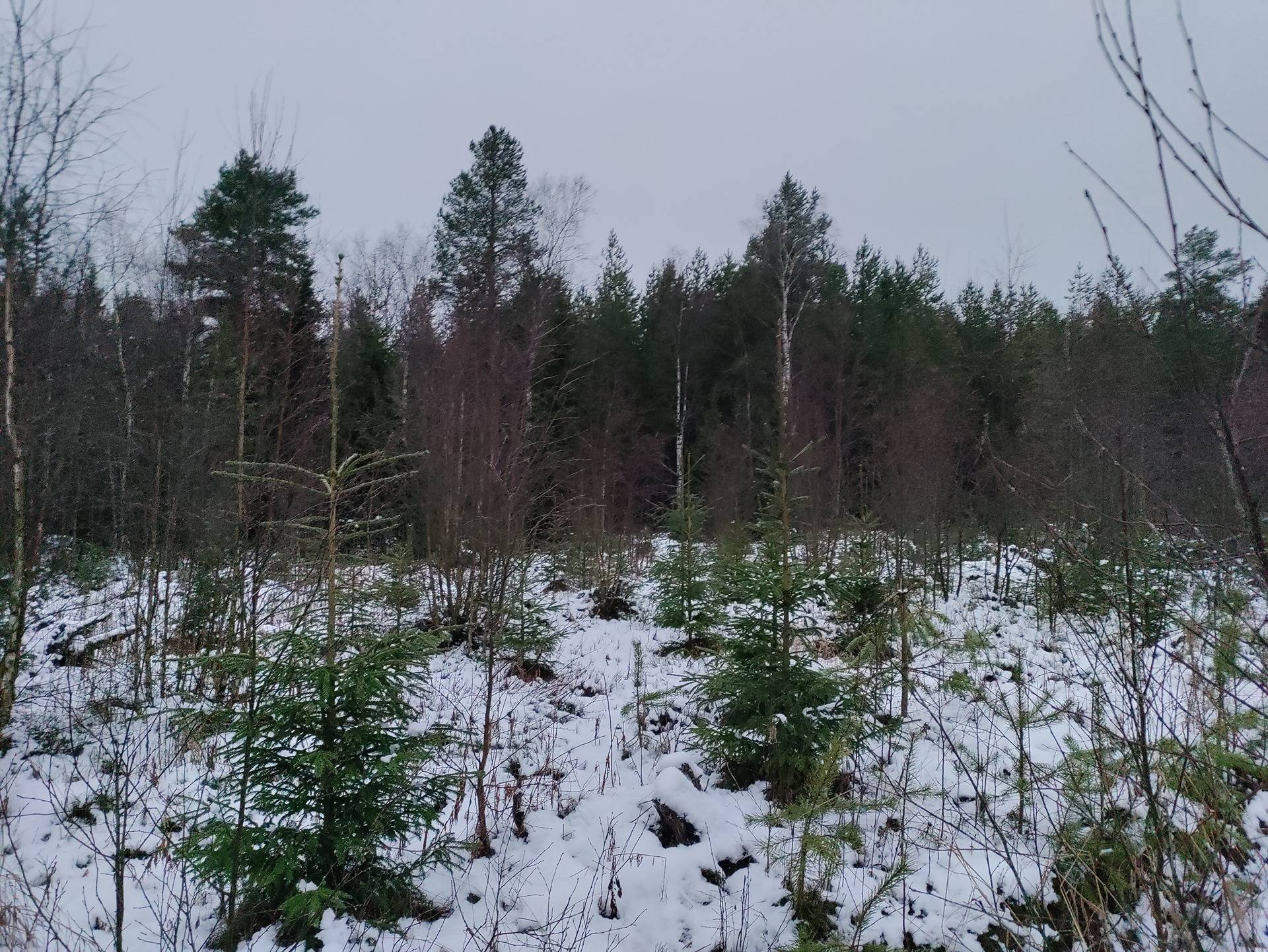 Vanhala 625-406-20-27 1